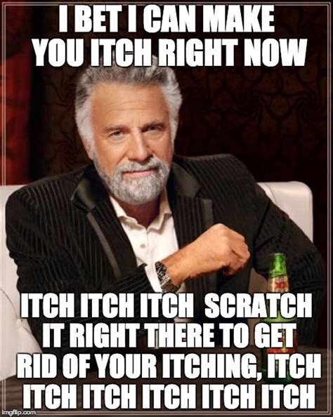 Itching meme. Things To Know About Itching meme. 
